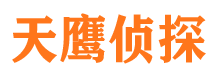 寻甸调查公司